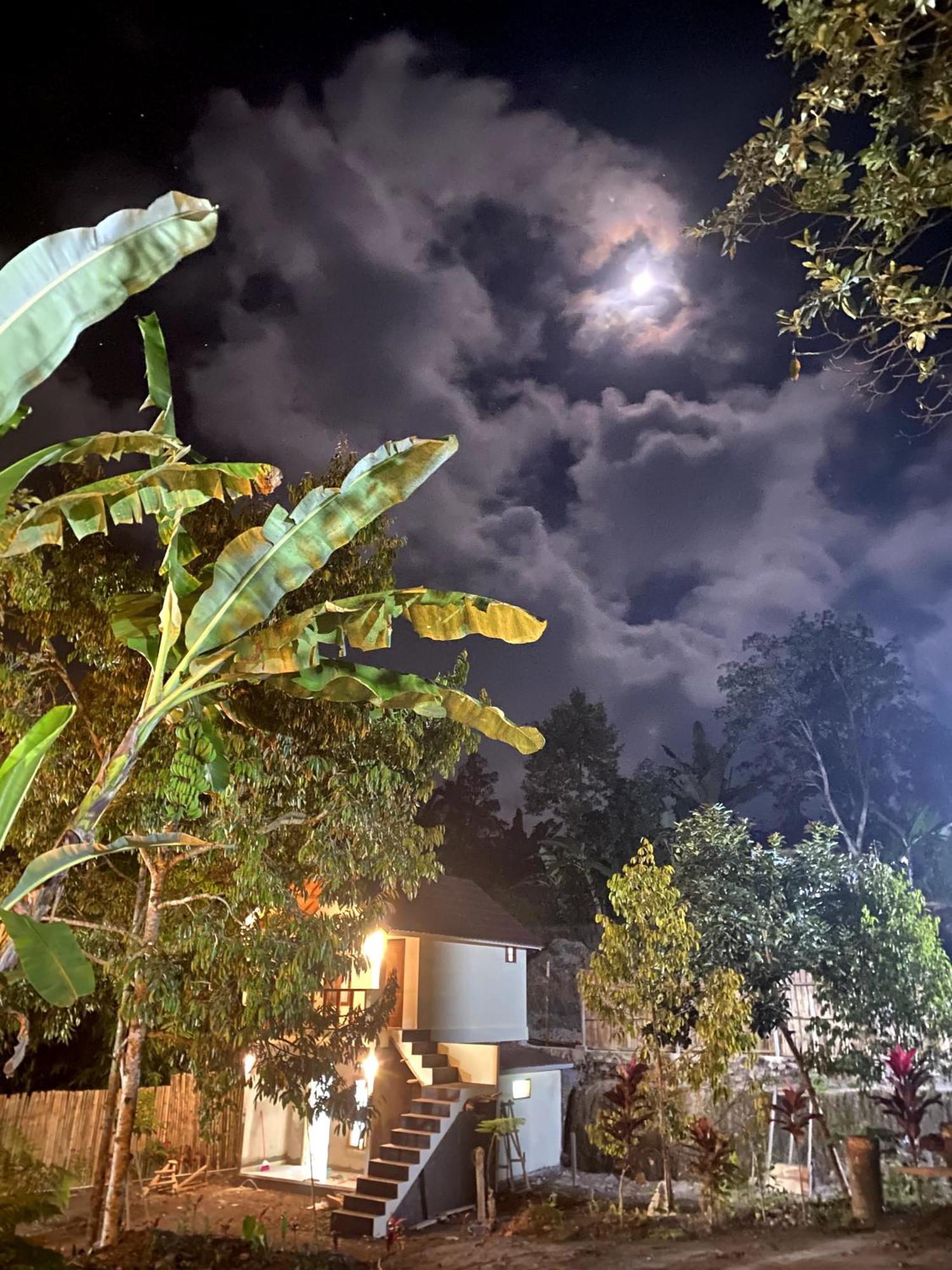 Avocado Homestay Tetebatu Bagian luar foto
