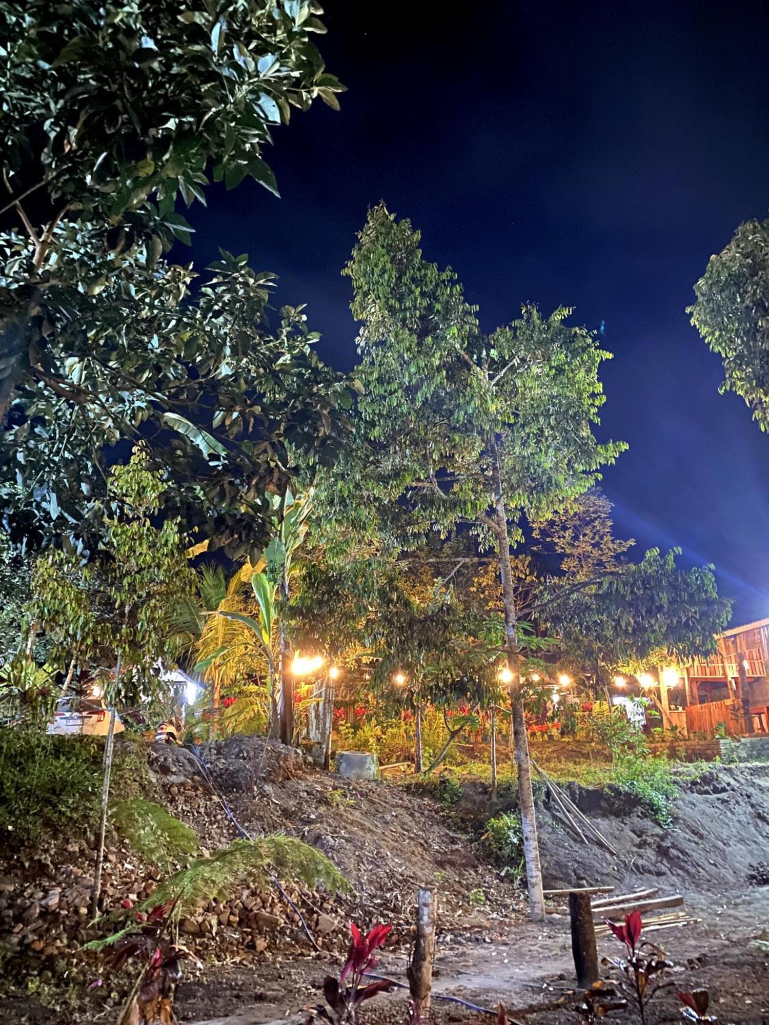 Avocado Homestay Tetebatu Bagian luar foto